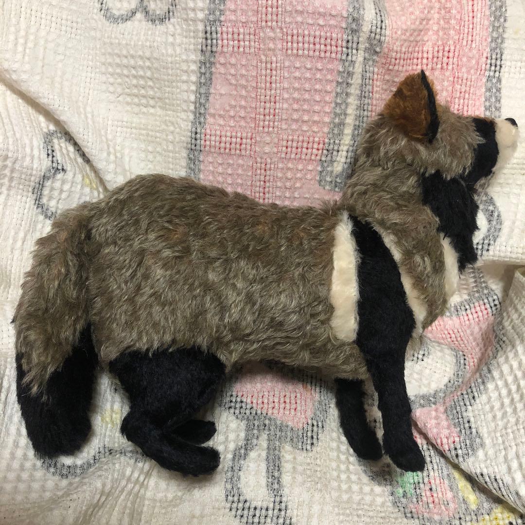 TOMO BEAR テディベア作家　TOMOKO FURUYA タヌキ　中古品
