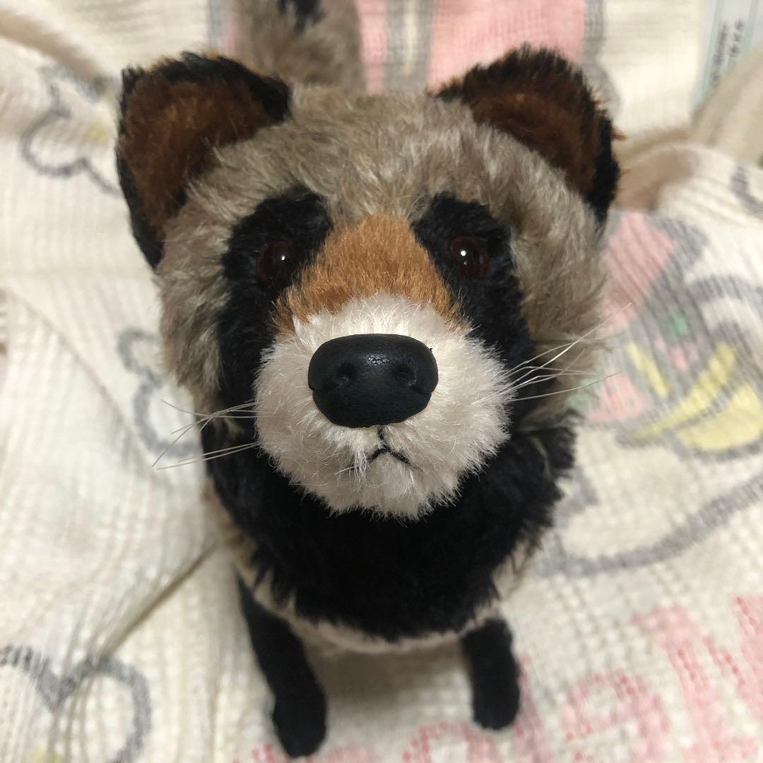 TOMO BEAR テディベア作家　TOMOKO FURUYA タヌキ　中古品