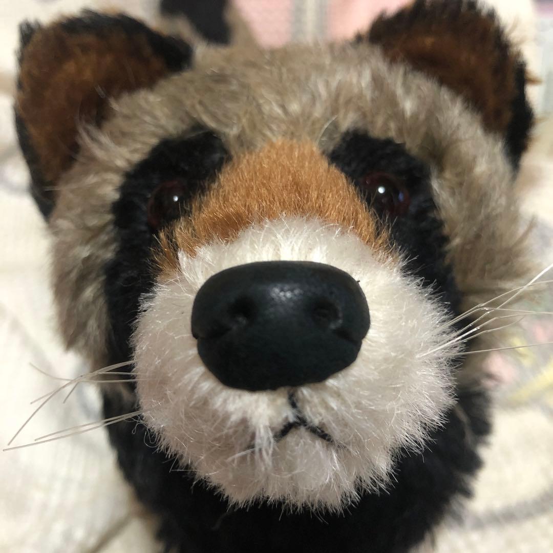 TOMO BEAR テディベア作家　TOMOKO FURUYA タヌキ　中古品