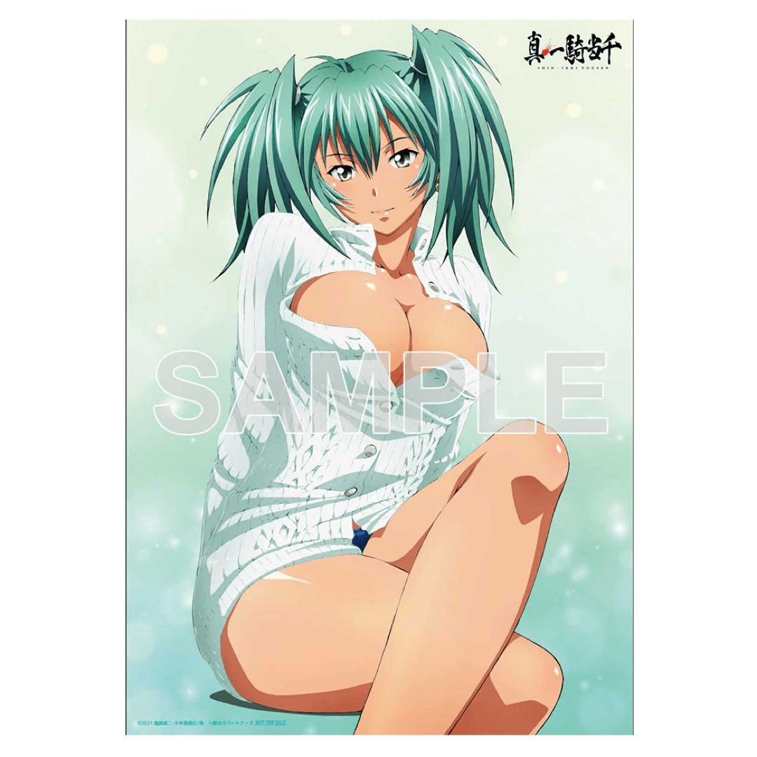 真・一騎当千　呂布　奉先　タペストリー　ソフマップ・アニメガ特典