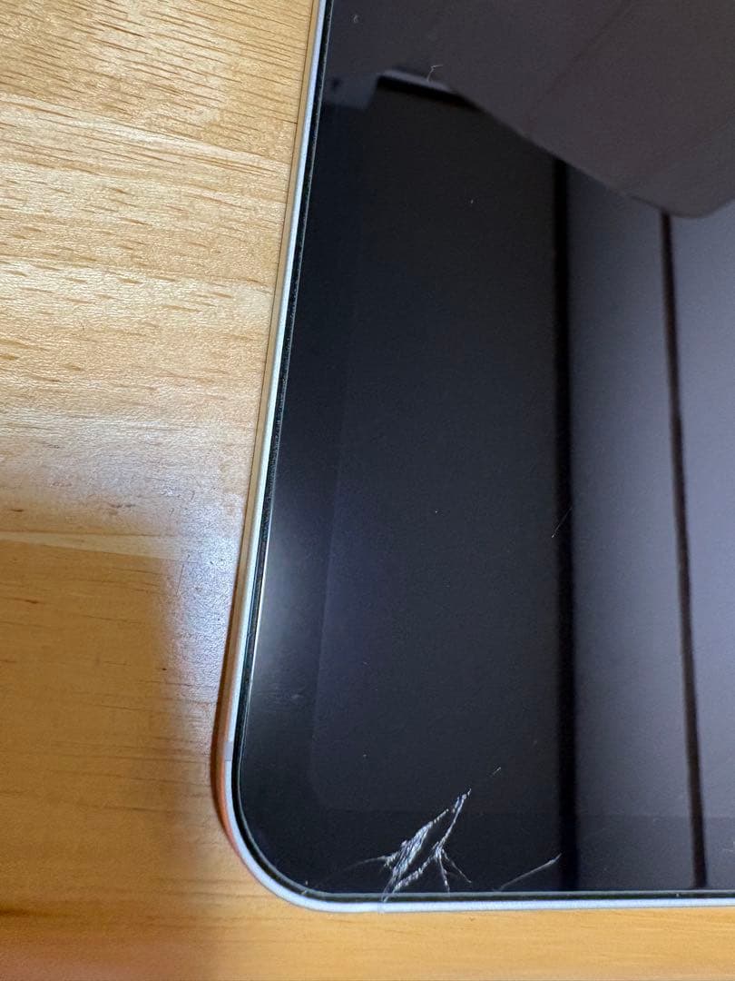 【256GB】画面割れiPad Pro11 第1世代　ジャンク品