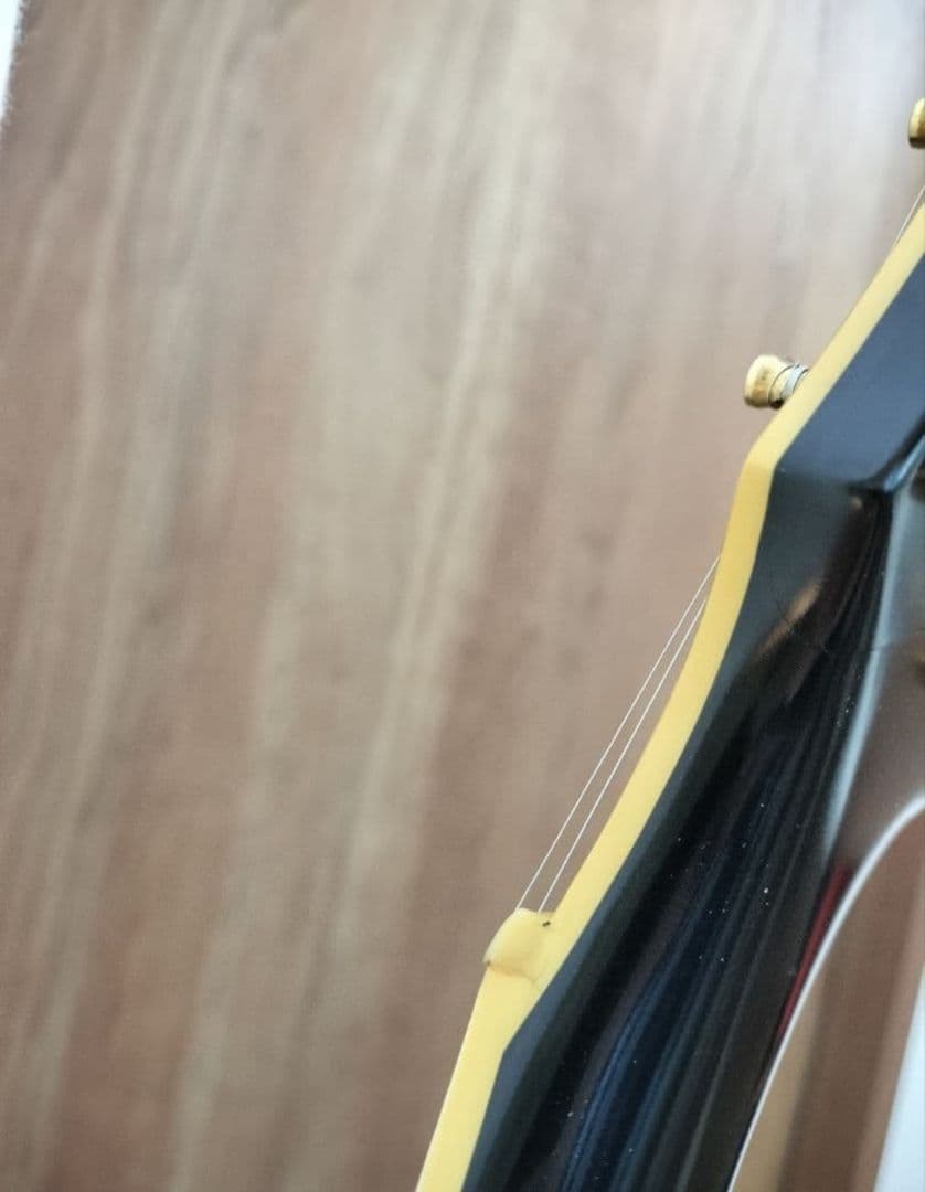 エドワーズ　レスポールカスタム