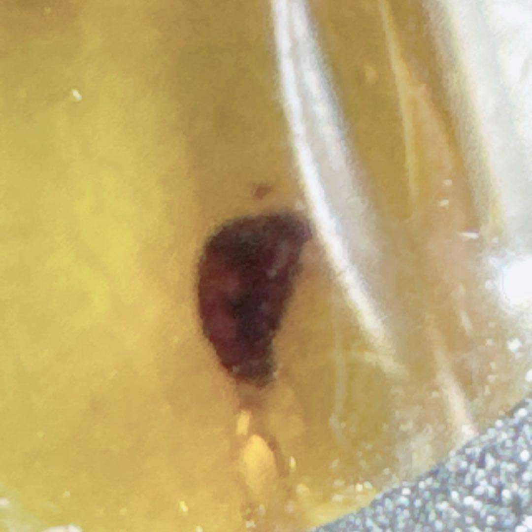 琥珀虫入りペンダントブラックスピネルネックレスNO25-2408