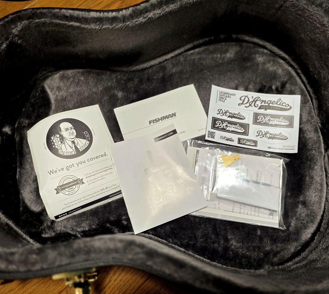 ギター D'Angelico Excel Bowery