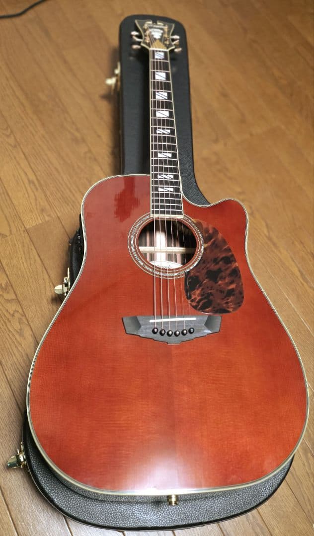 ギター D'Angelico Excel Bowery