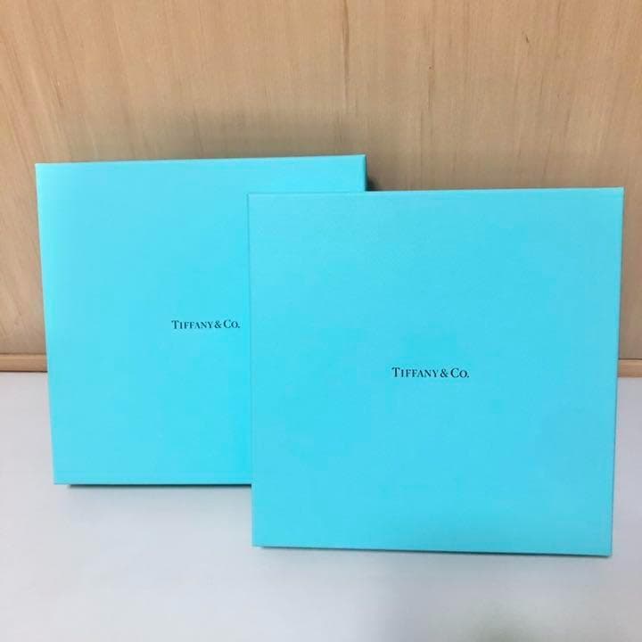新品　未使用 TIFFANY&CO. プレート　セット　2枚　皿　ティファニー