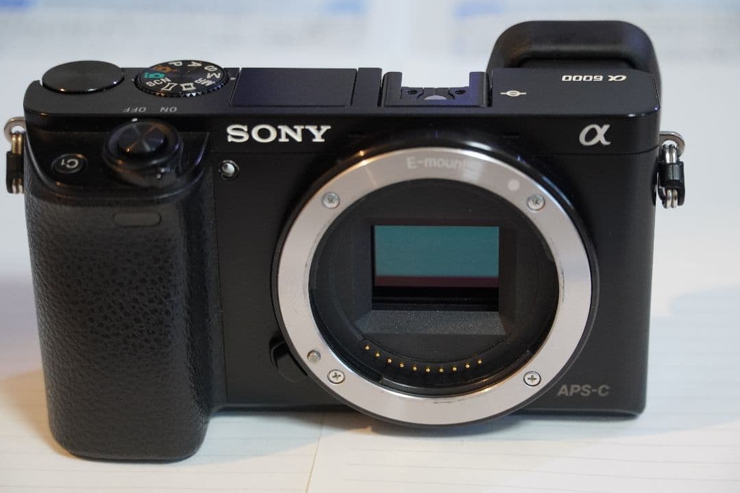 SONY α6000 キットレンズ