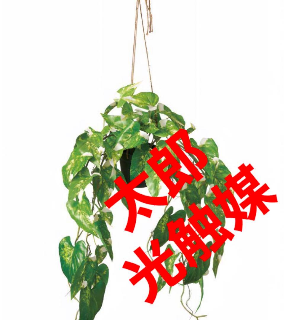光触媒　人工観葉植物　ウォールグリーン　フェイクグリーン　フィロデンドロン