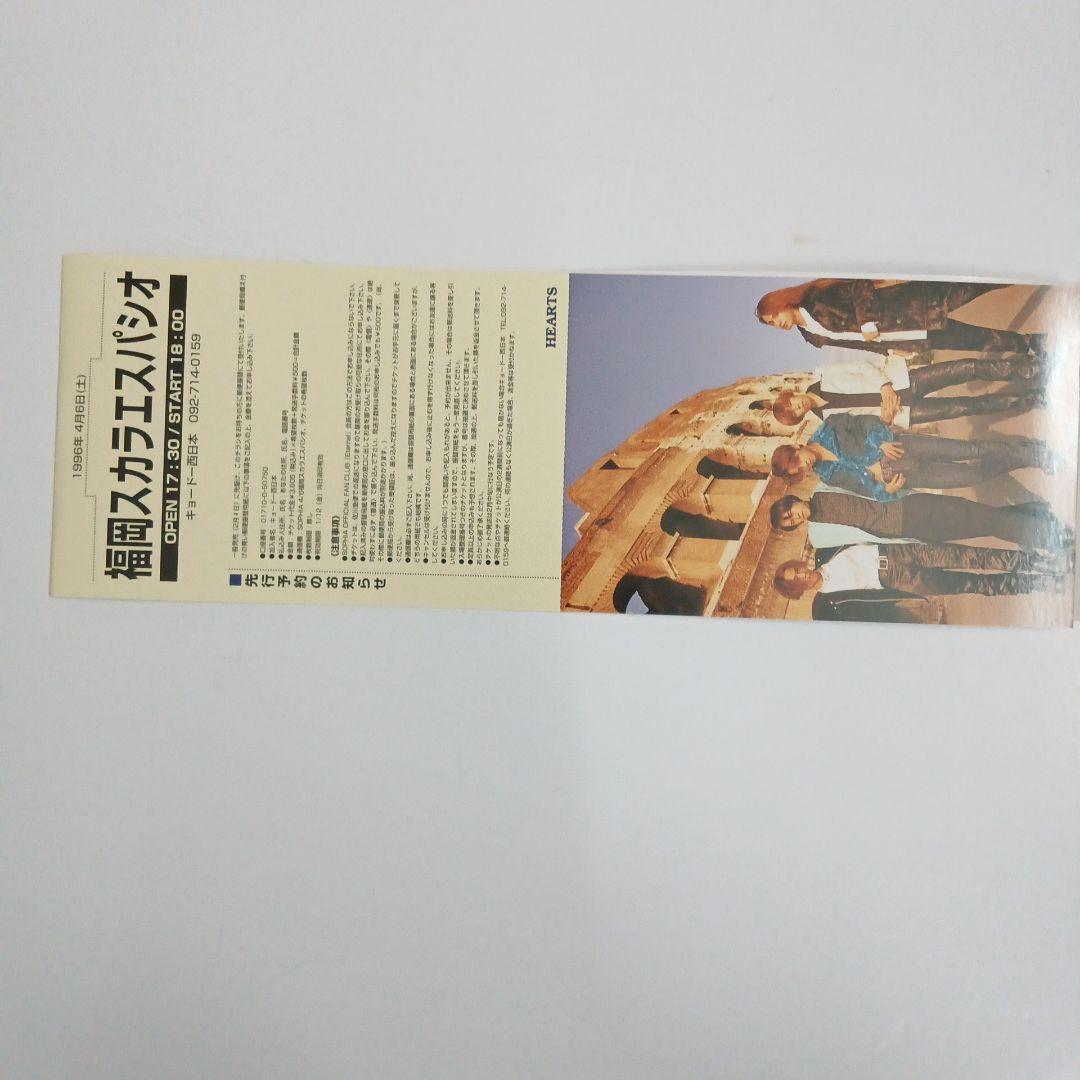 SOPHIA (ソフィア)　直筆サイン色紙　ポスター　ポストカード