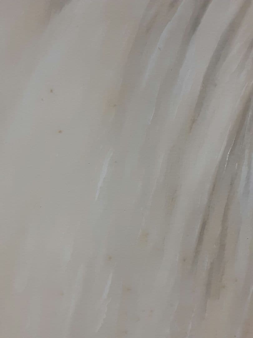 日本画、掛け軸、夏掛け、山本朝光『深山瀑布』