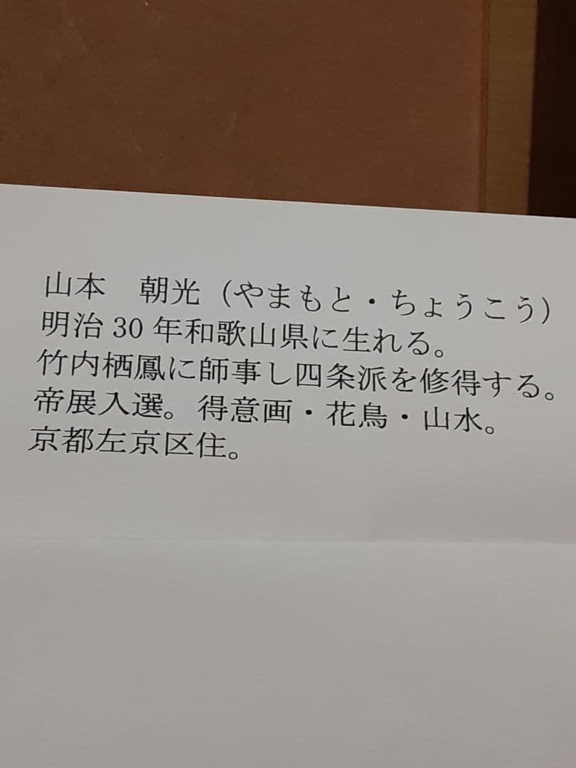 日本画、掛け軸、夏掛け、山本朝光『深山瀑布』