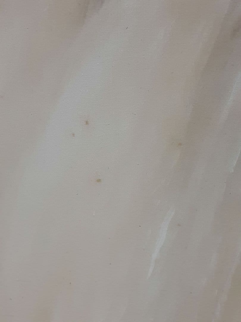 日本画、掛け軸、夏掛け、山本朝光『深山瀑布』