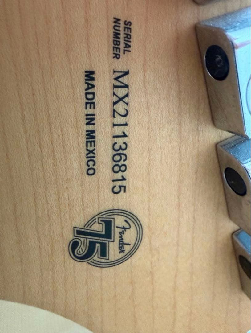 ギター fender stratocaster