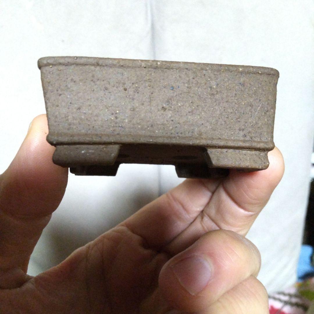 ミニ鉢、盆栽鉢、盆栽小鉢、鉢、植木鉢、山野草鉢、蘭鉢、盆栽