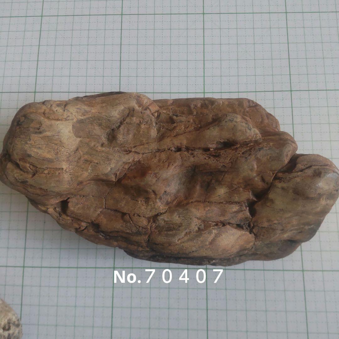 BM、珪化木セット