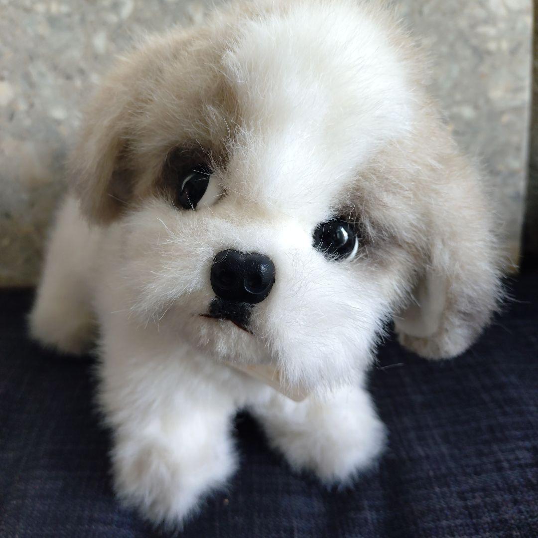 ぬいぐるみ シーズー 約33cm　タグつき