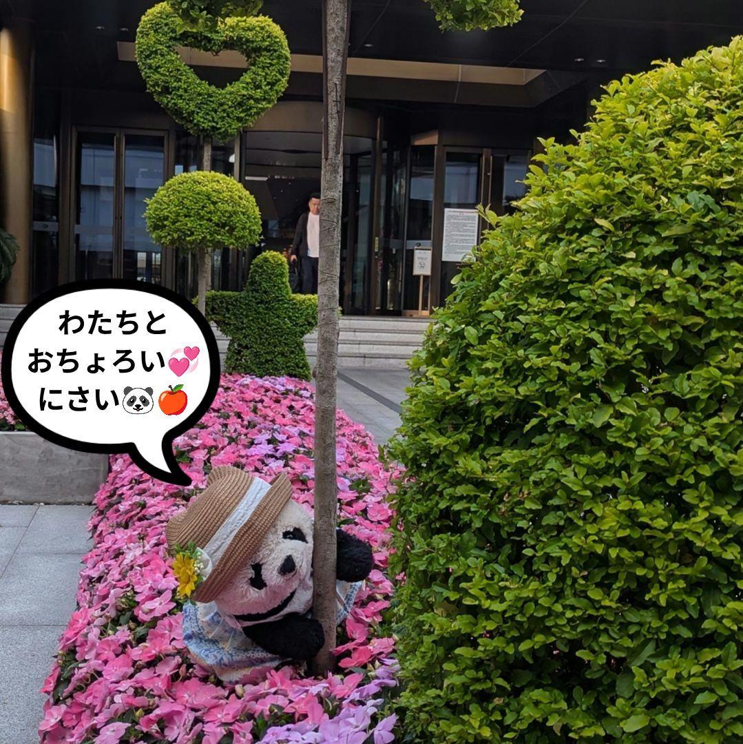 まゆみっち様オーダー♡シャオたんレイたん４歳♡Birthdayふるせっと＋1