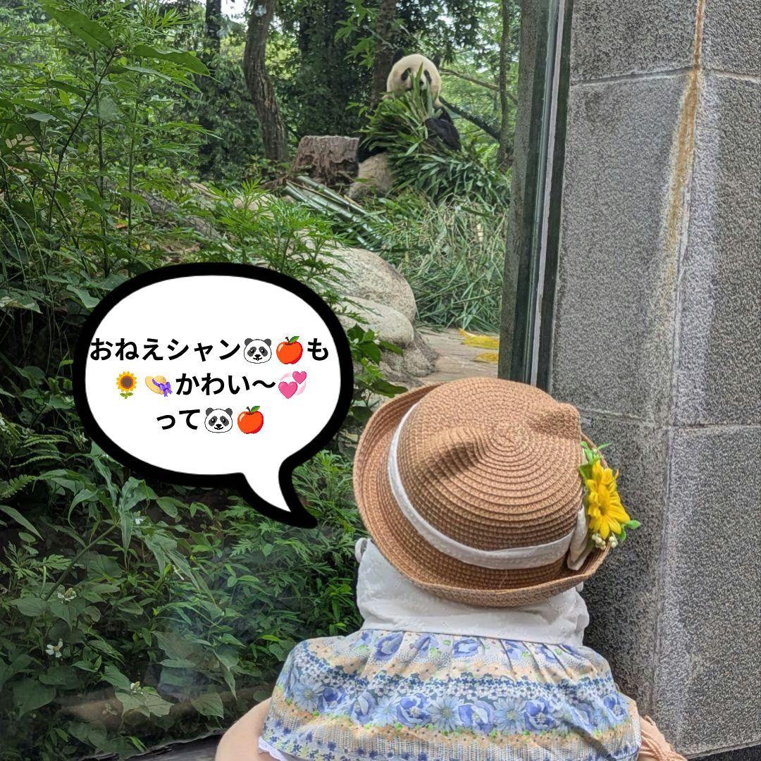 まゆみっち様オーダー♡シャオたんレイたん４歳♡Birthdayふるせっと＋1