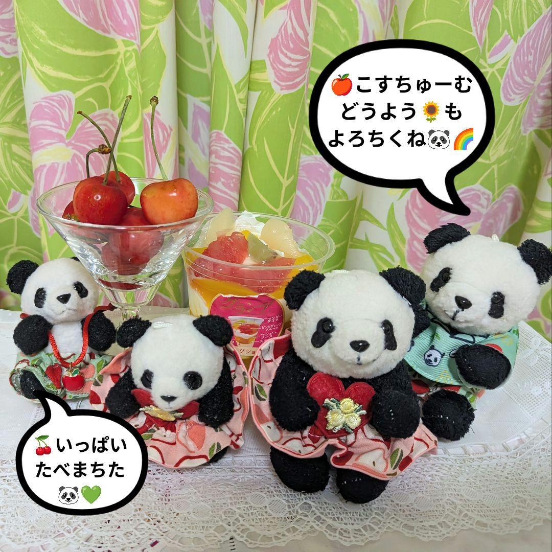 まゆみっち様オーダー♡シャオたんレイたん４歳♡Birthdayふるせっと＋1