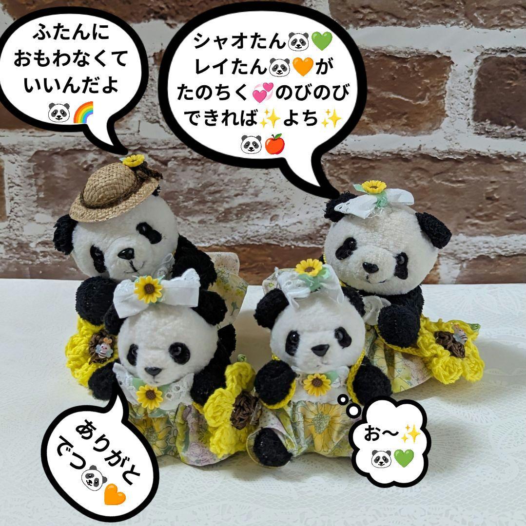 まゆみっち様オーダー♡シャオたんレイたん４歳♡Birthdayふるせっと＋1