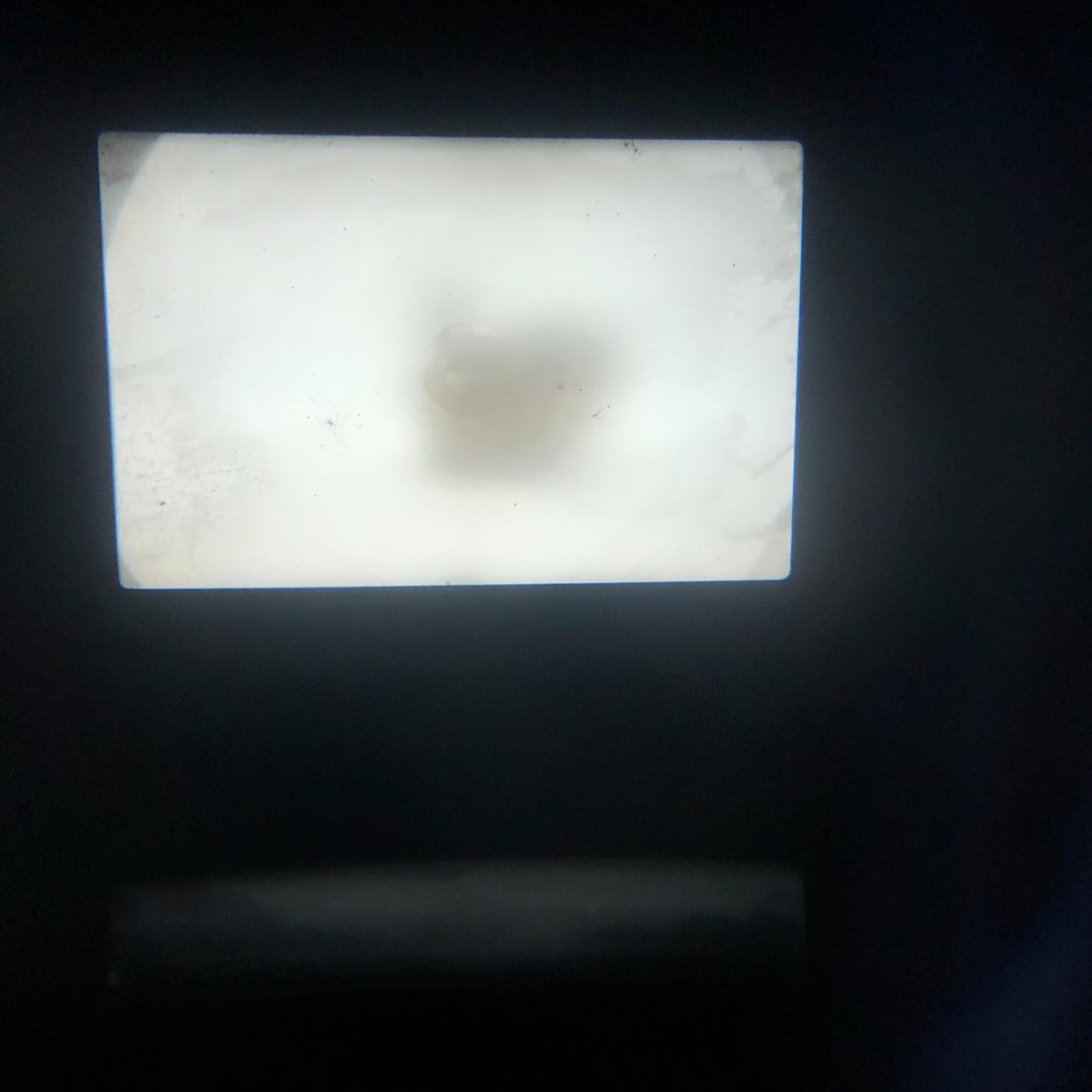 【C6412】A-1+New FD 50mm F/1.4 フイルムカメラ