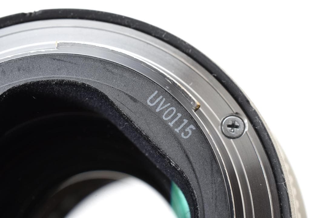 動確済 キャノン EF 70-200mm f/2.8 L IS USM #221