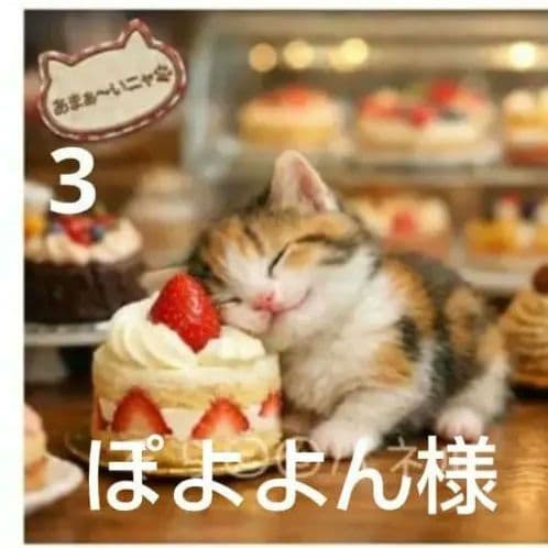 ご確認用　ぽよよん　ハンカチ　ねこちゃん柄2/17