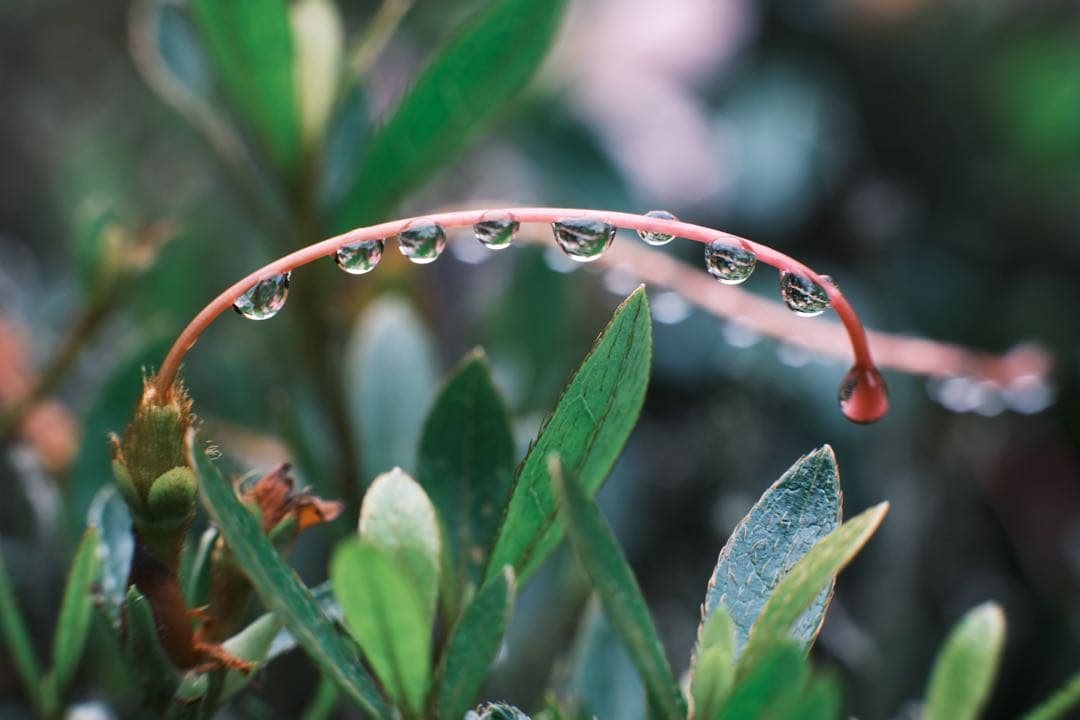 FUJINON XF56mm F1.2 VILTROX DG-FU フィルター付