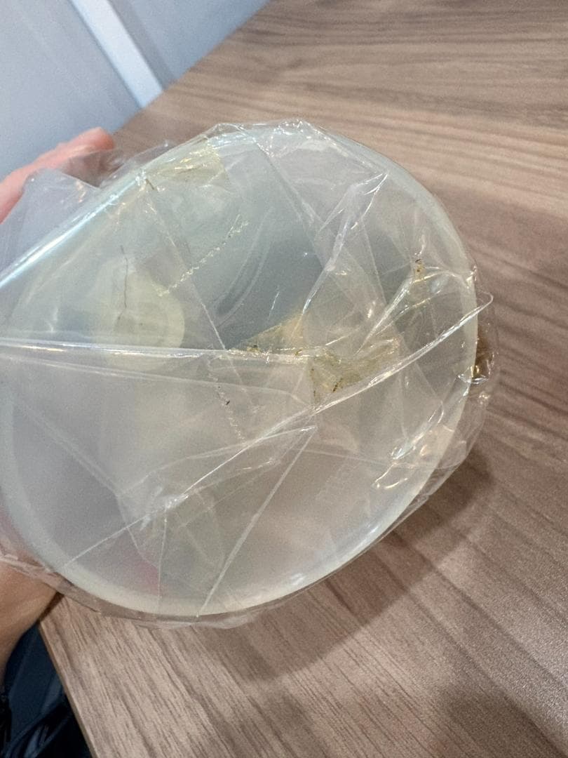 【希少】モンチッチ お仕事シリーズ 30周年記念 セクレタリー 秘書 15cm