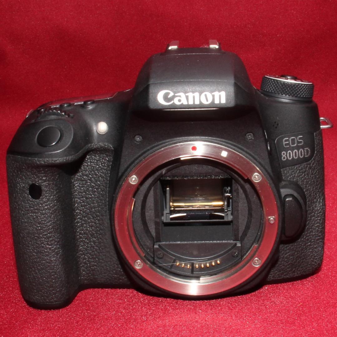 ✨Wi-Fi搭載機種✨Canon EOS 8000D 超広角レンズセット✨