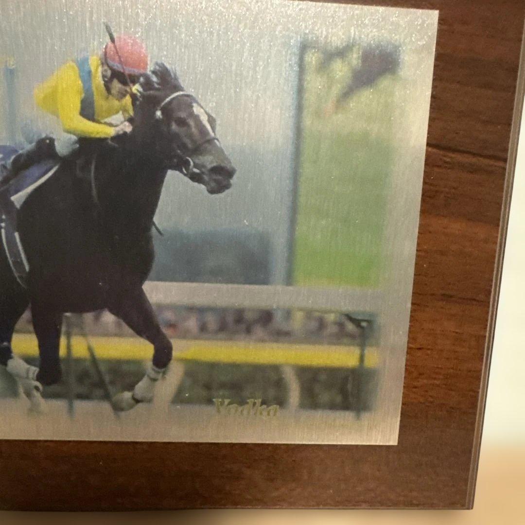 【競馬】ウォッカ メモリアル盾 年度代表馬&最優秀4歳以上牝馬 Vodka