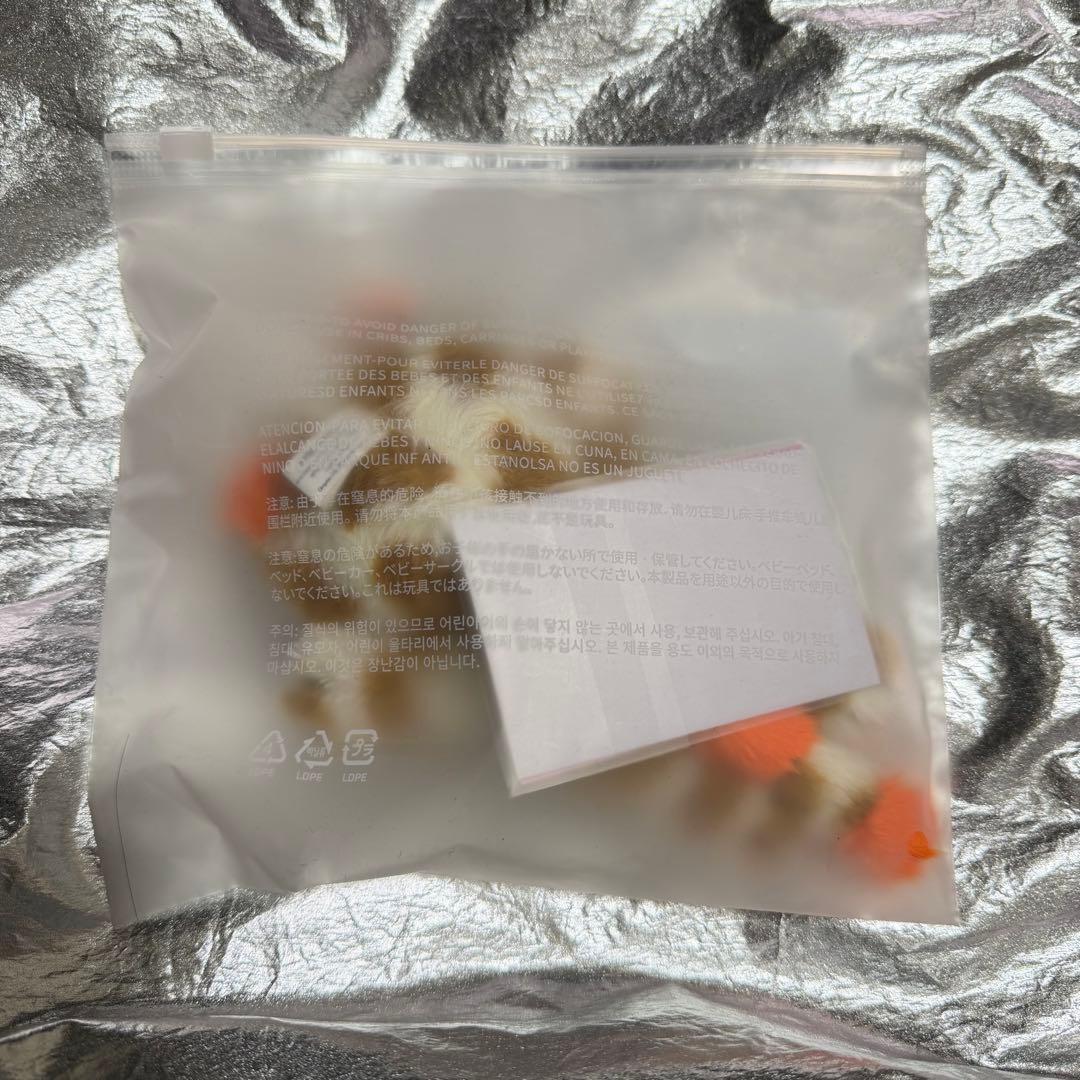 BOYNEXTDOOR ボネクド BBNEXDO プネクド CATBBI ソンホ