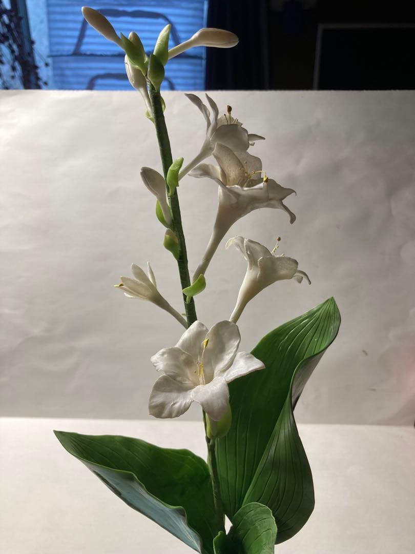 鶯さん専用 クレイフラワー　白花ギボウシ（たまのかんざし）