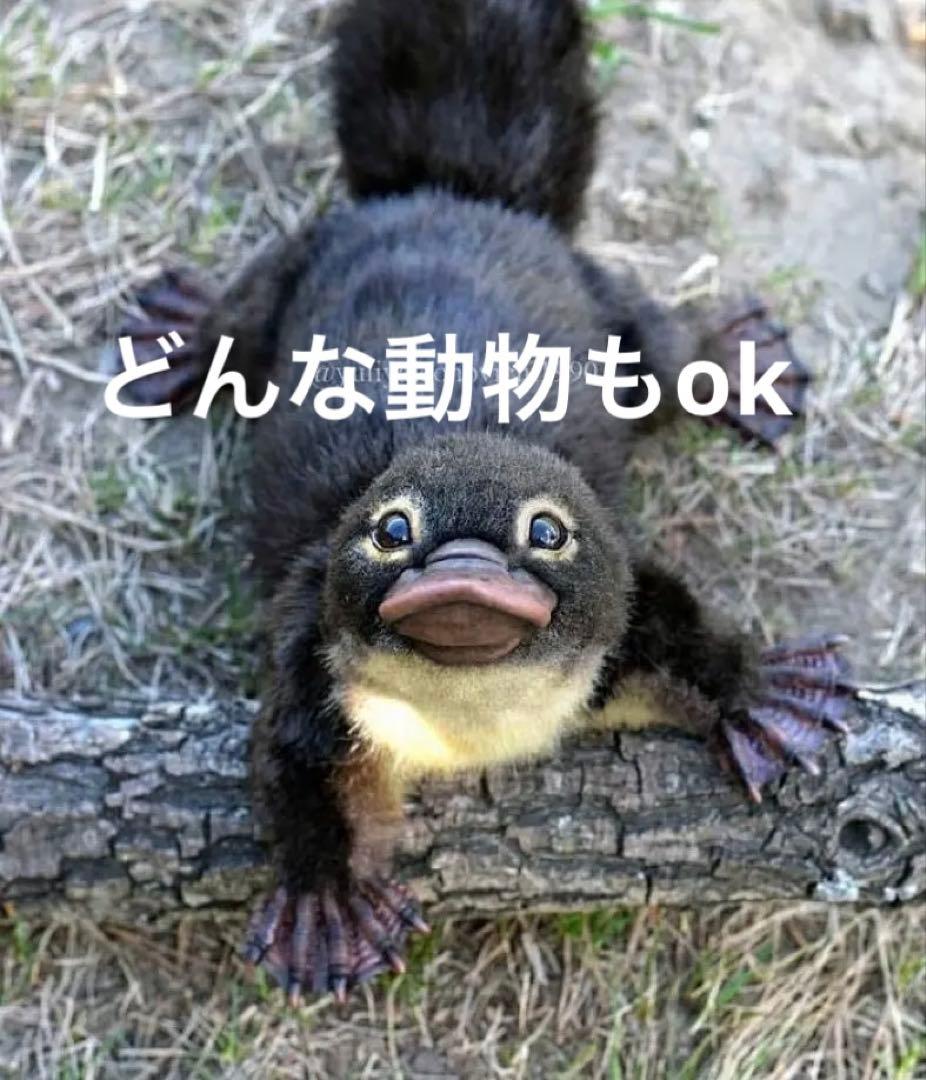 マイペット オーダーメイド マスコット