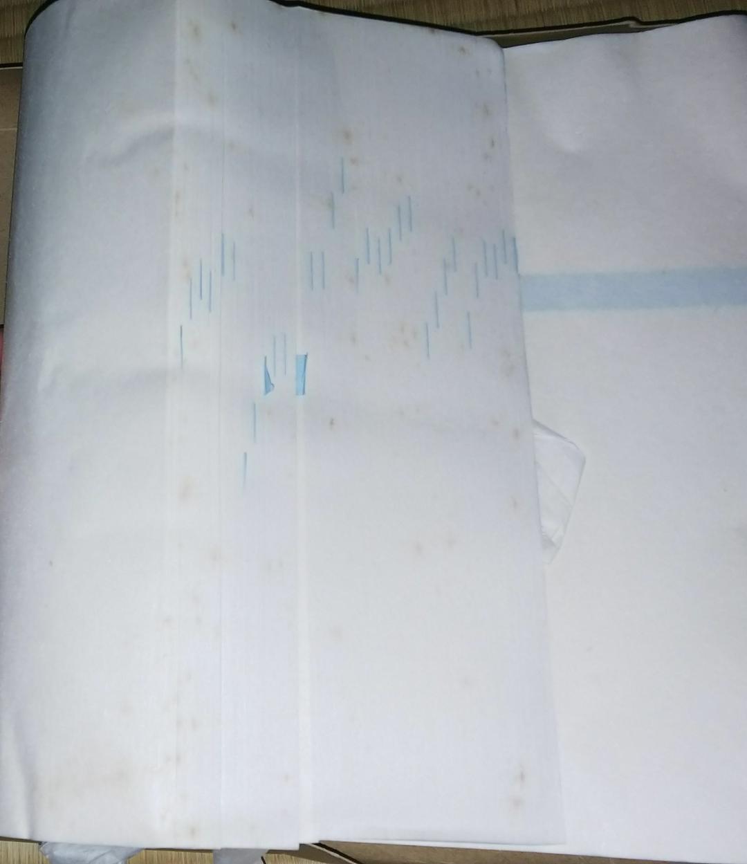 書道 半紙
