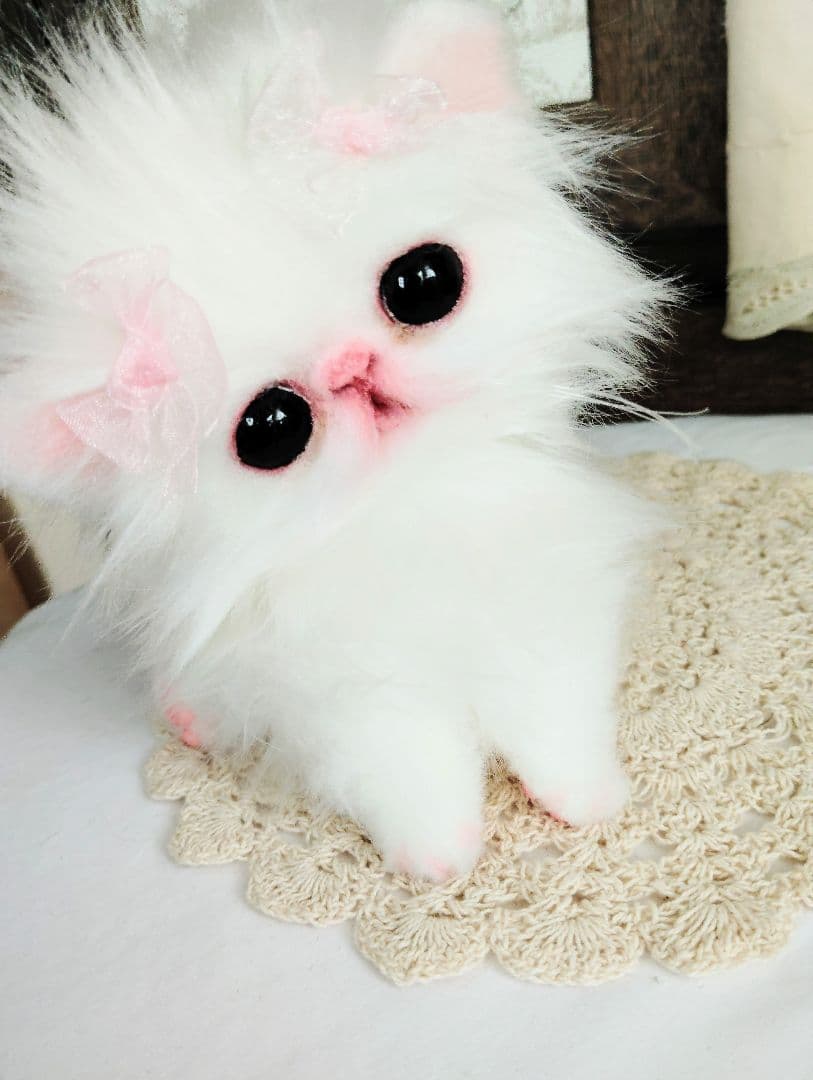 きゅるんオメメ♡子猫のレモンちゃん♡エキゾチック♡アートドール♡ぬいぐるみ♡