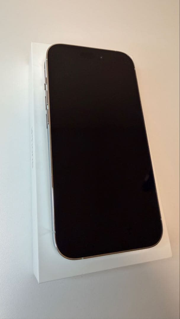 Apple iPhone 14 Pro シルバー 256GB 本体