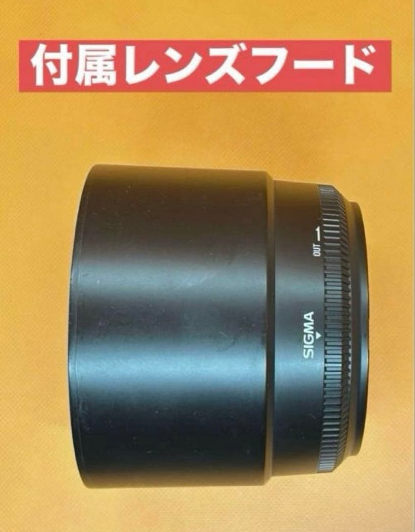 シグマ APO 120-400mm 4.5-5.6 DG OS HSMキヤノン用