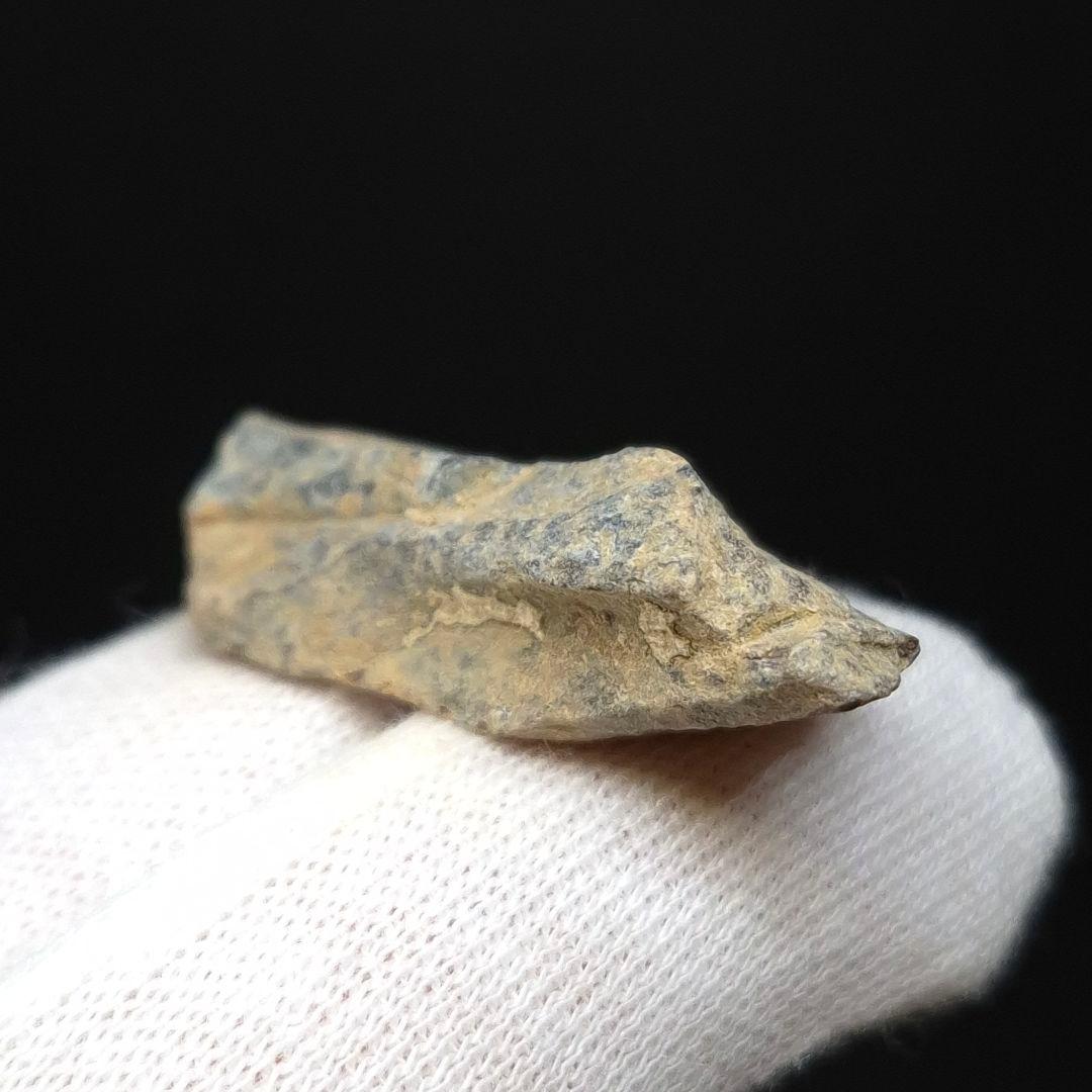 ティラノサウルス 化石 骨 本物 アメリカ 33.97mm ケース付 tb182