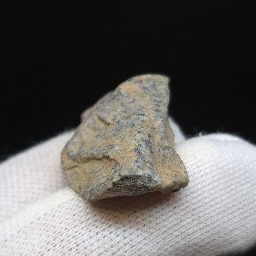 ティラノサウルス 化石 骨 本物 アメリカ 33.97mm ケース付 tb182