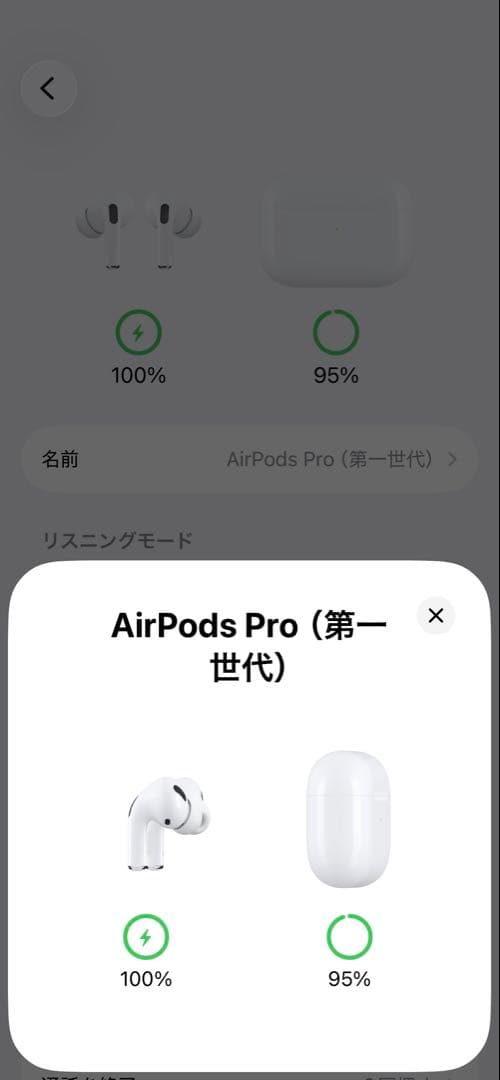 AirPods Pro1 第1世代 第一世代 正常動作品