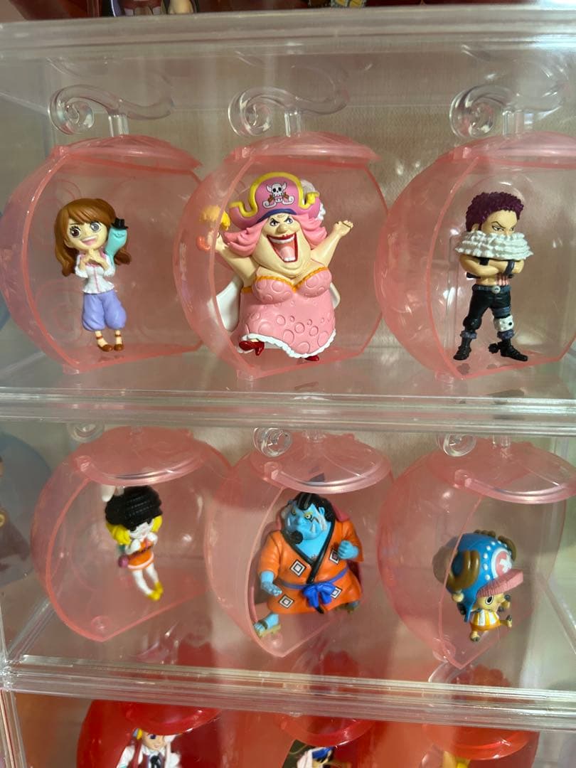 【引退】ワンピの実　第一海戦〜第二十海戦コンプリート　ドッグシステム　計132体