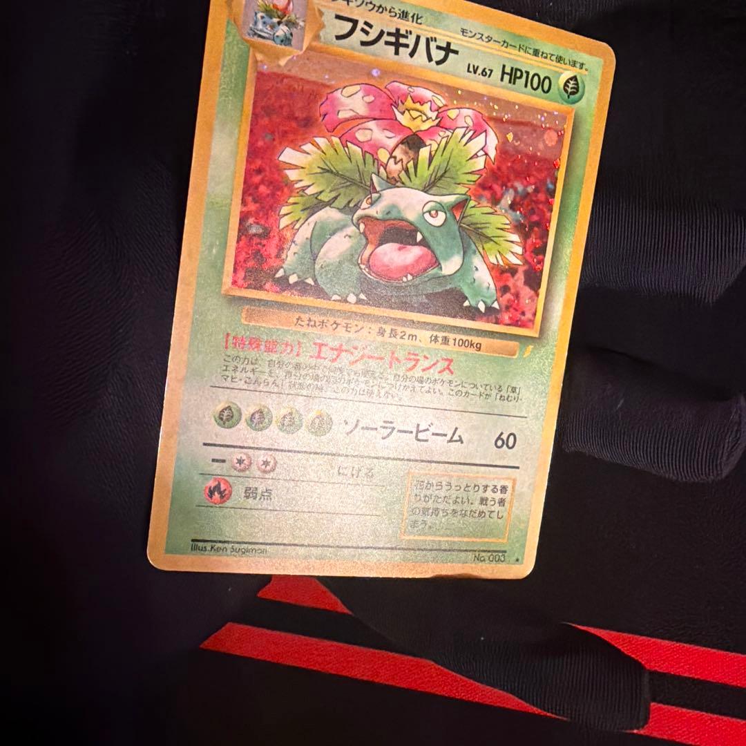 旧裏　フシギバナ（Venusaur）　とりかえっこプリーズ　PROMO ポケモン