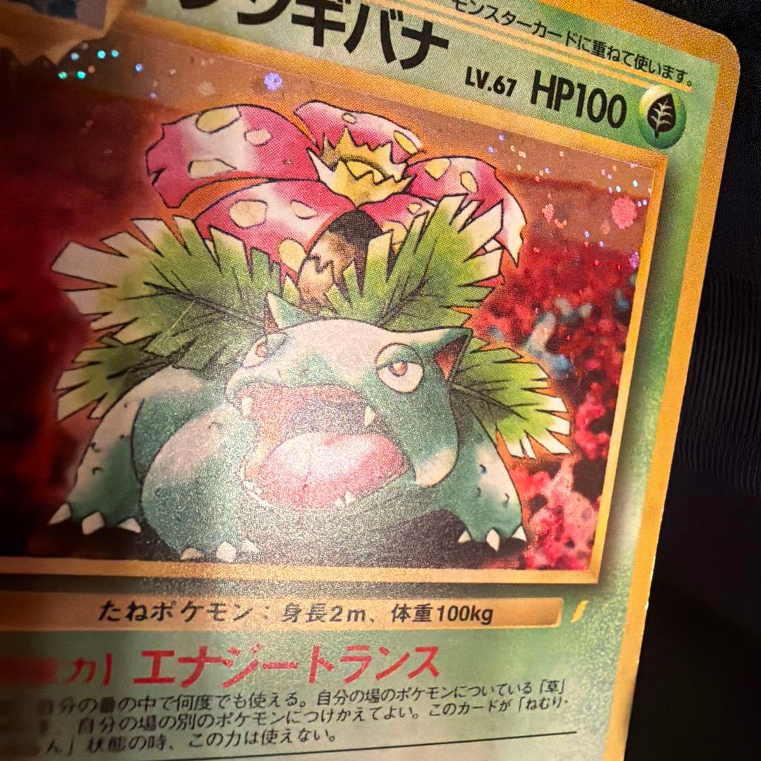 旧裏　フシギバナ（Venusaur）　とりかえっこプリーズ　PROMO ポケモン