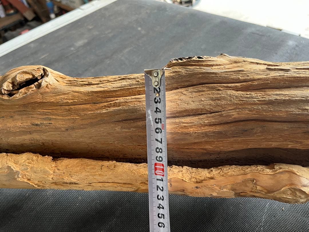 樹齢約800年　杉　枝　アクアリウム　流木　パワーウッド　水槽　インテリア