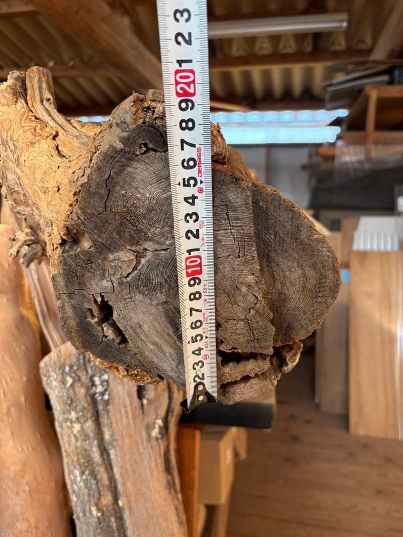 樹齢約800年　杉　枝　アクアリウム　流木　パワーウッド　水槽　インテリア