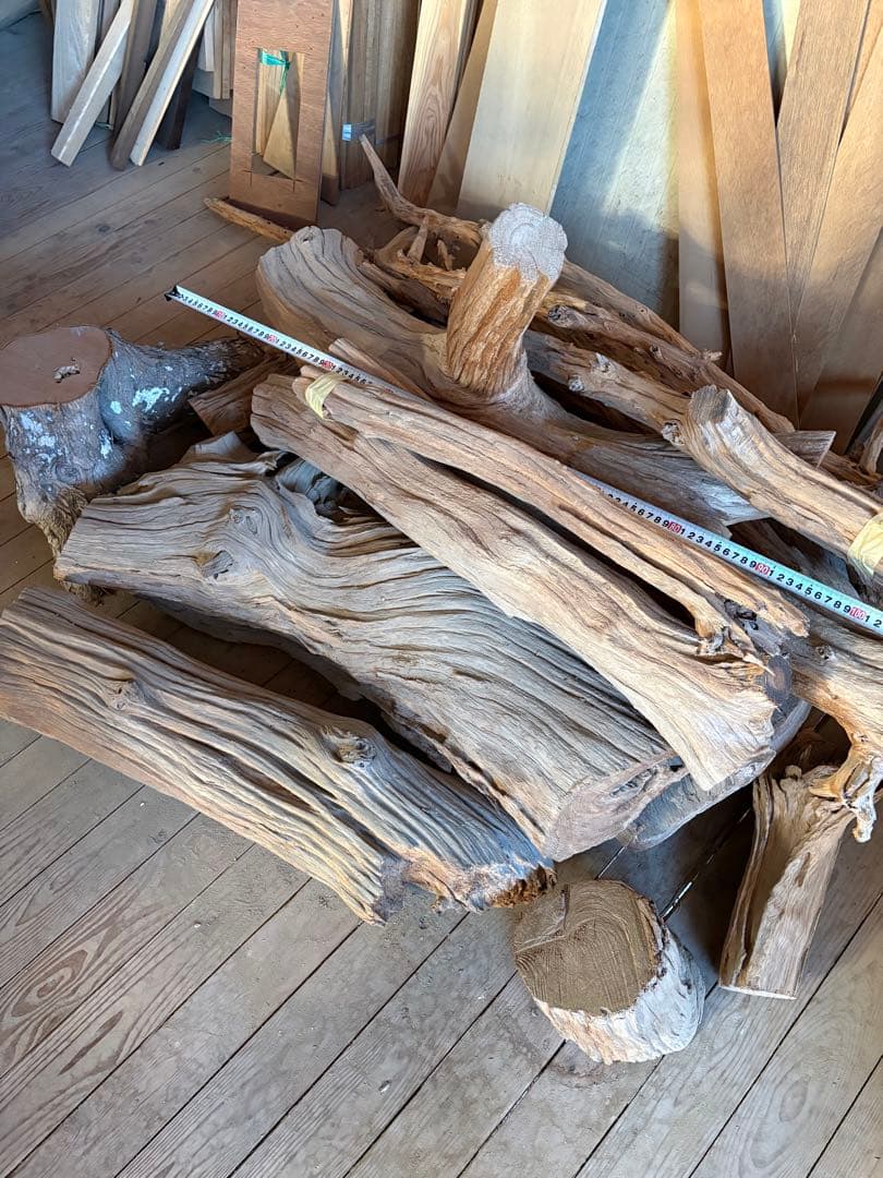 樹齢約800年　杉　枝　アクアリウム　流木　パワーウッド　水槽　インテリア