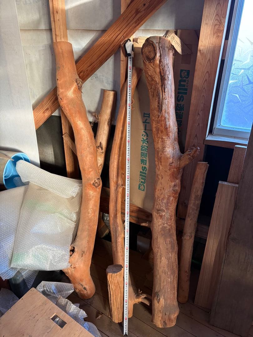 樹齢約800年　杉　枝　アクアリウム　流木　パワーウッド　水槽　インテリア