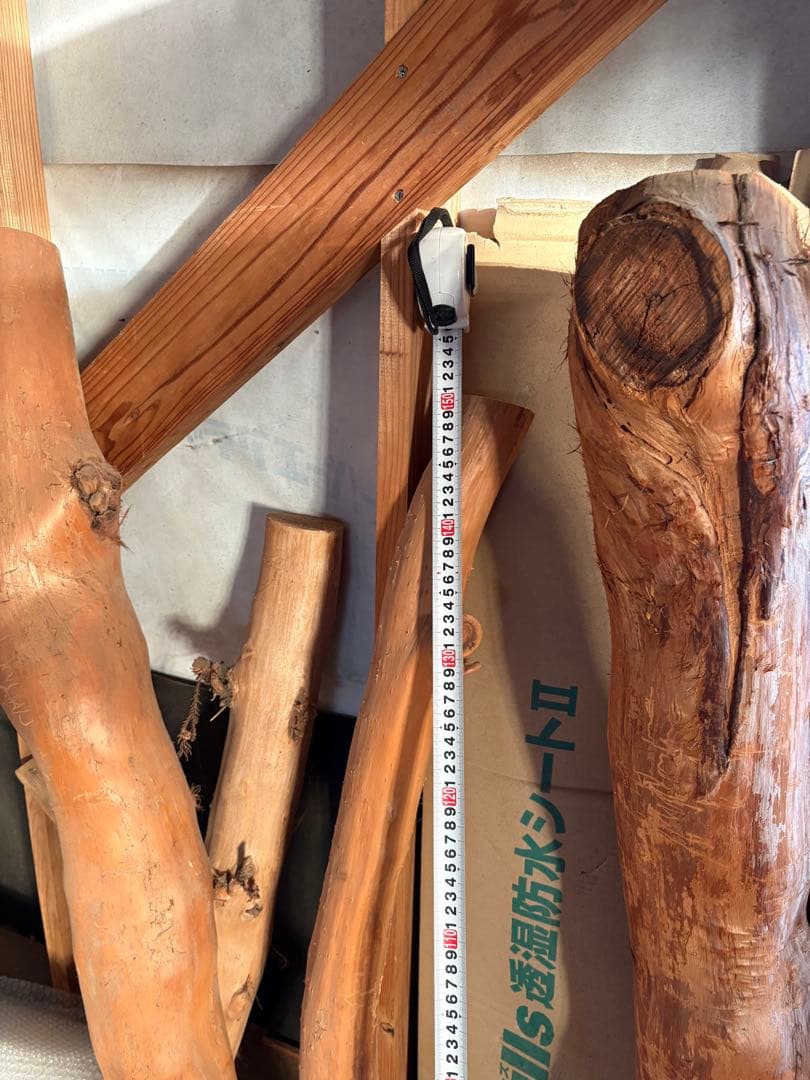 樹齢約800年　杉　枝　アクアリウム　流木　パワーウッド　水槽　インテリア