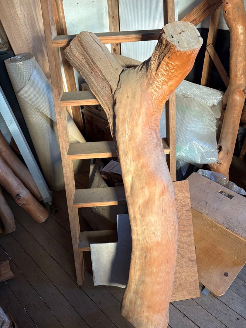 樹齢約800年　杉　枝　アクアリウム　流木　パワーウッド　水槽　インテリア